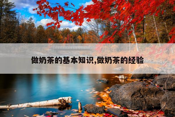做奶茶的基本知识,做奶茶的经验