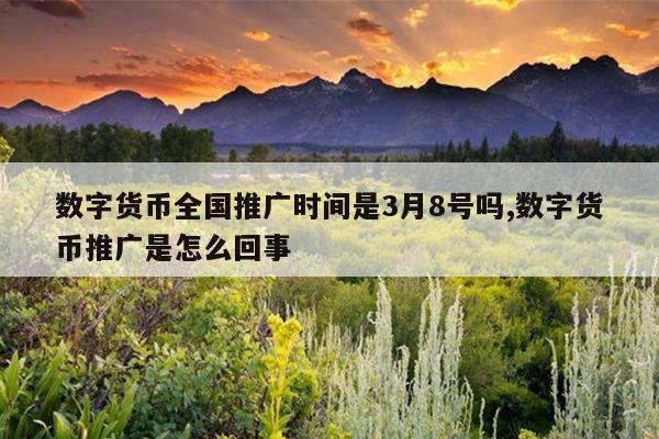 数字货币全国推广时间是3月8号吗,数字货币推广是怎么回事