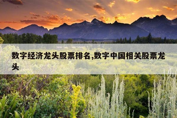数字经济龙头股票排名,数字中国相关股票龙头