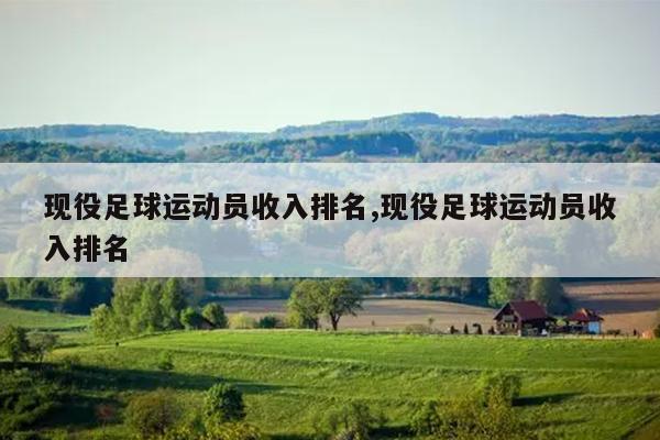 现役足球运动员收入排名,现役足球运动员收入排名