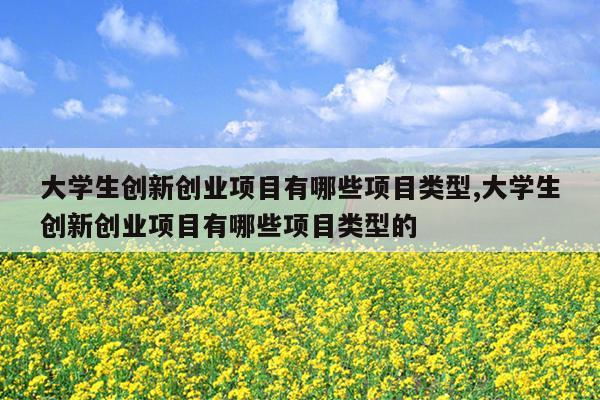 大学生创新创业项目有哪些项目类型,大学生创新创业项目有哪些项目类型的