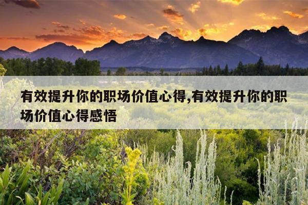 有效提升你的职场价值心得,有效提升你的职场价值心得感悟