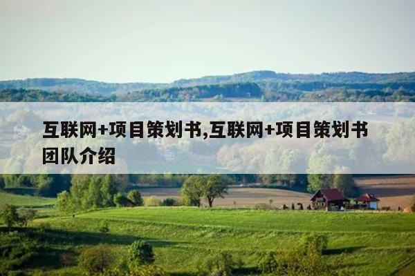 互联网+项目策划书,互联网+项目策划书 团队介绍