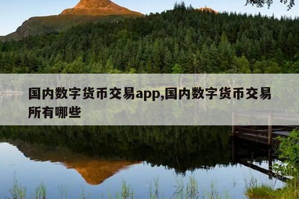 国内数字货币交易app,国内数字货币交易所有哪些