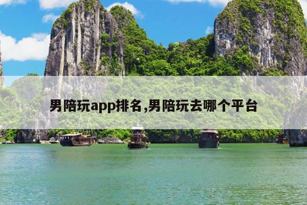 男陪玩app排名,男陪玩去哪个平台