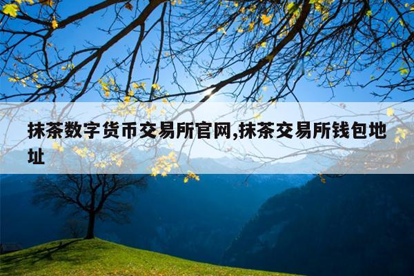抹茶数字货币交易所官网,抹茶交易所钱包地址