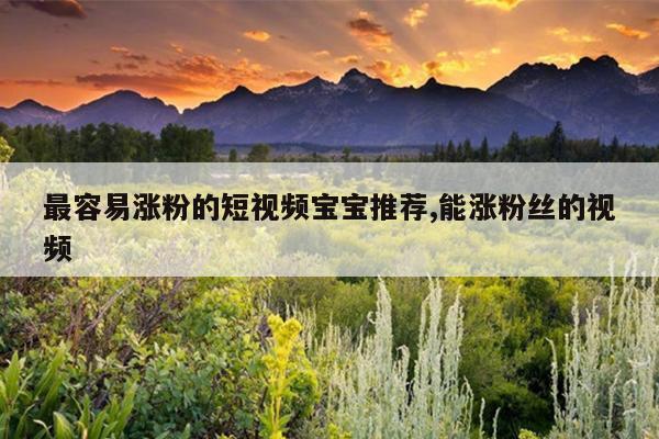 最容易涨粉的短视频宝宝推荐,能涨粉丝的视频