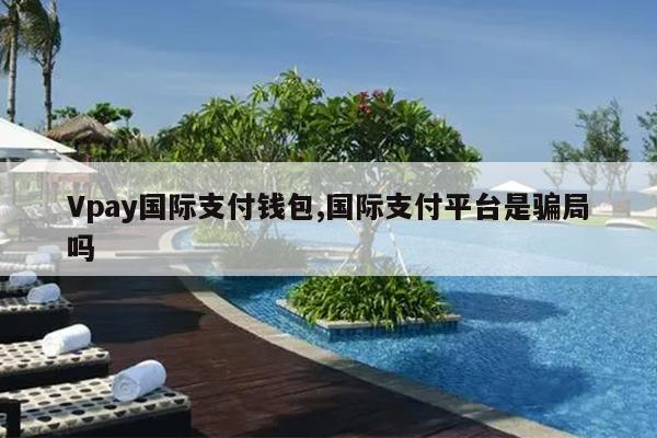 Vpay国际支付钱包,国际支付平台是骗局吗