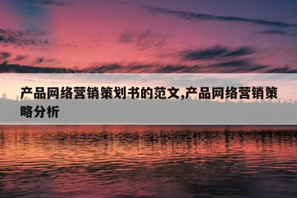 产品网络营销策划书的范文,产品网络营销策略分析