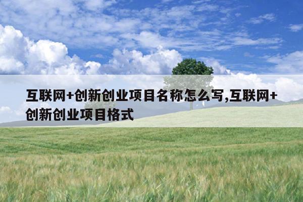 互联网+创新创业项目名称怎么写,互联网+创新创业项目格式
