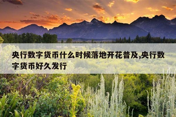 央行数字货币什么时候落地开花普及,央行数字货币好久发行