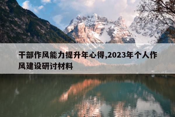 干部作风能力提升年心得,2023年个人作风建设研讨材料