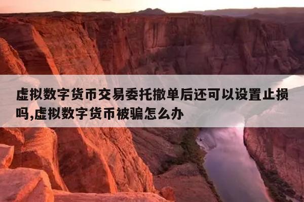 虚拟数字货币交易委托撤单后还可以设置止损吗,虚拟数字货币被骗怎么办