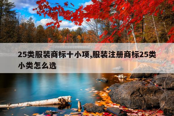 25类服装商标十小项,服装注册商标25类小类怎么选