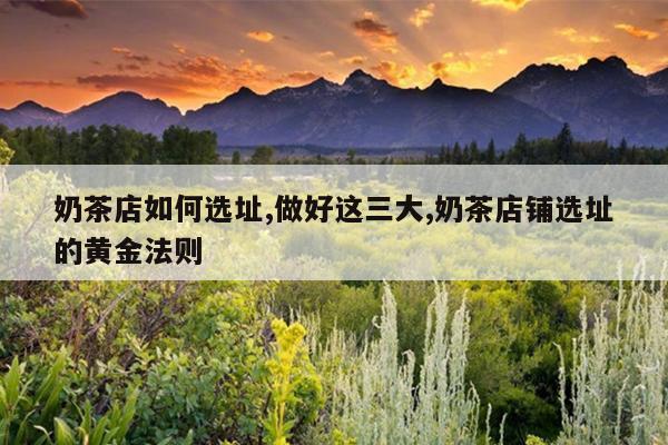 奶茶店如何选址,做好这三大,奶茶店铺选址的黄金法则