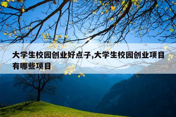 大学生校园创业好点子,大学生校园创业项目有哪些项目