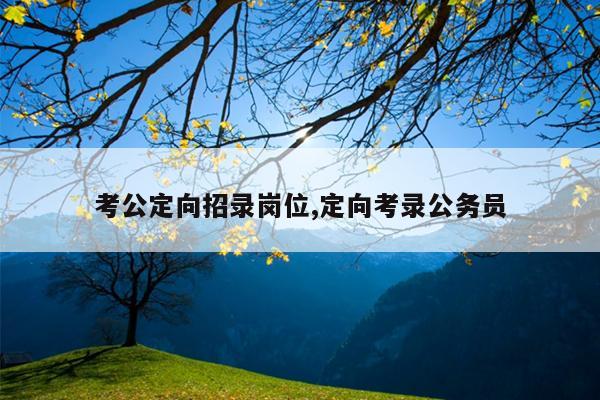 考公定向招录岗位,定向考录公务员