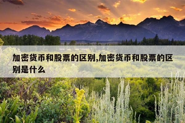 加密货币和股票的区别,加密货币和股票的区别是什么