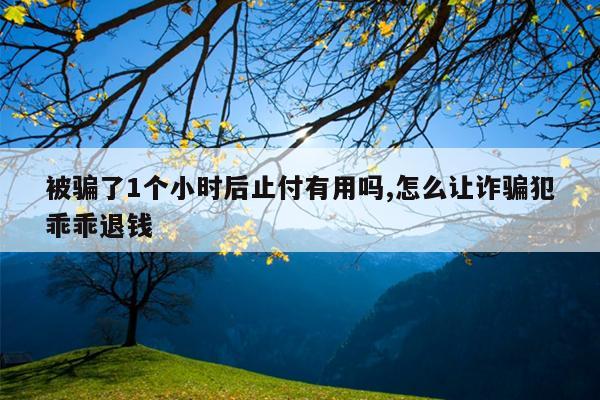 被骗了1个小时后止付有用吗,怎么让诈骗犯乖乖退钱
