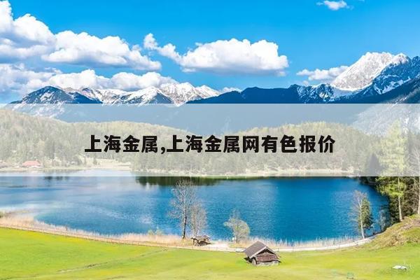 上海金属,上海金属网有色报价
