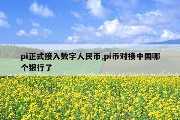 pi正式接入数字人民币,pi币对接中国哪个银行了