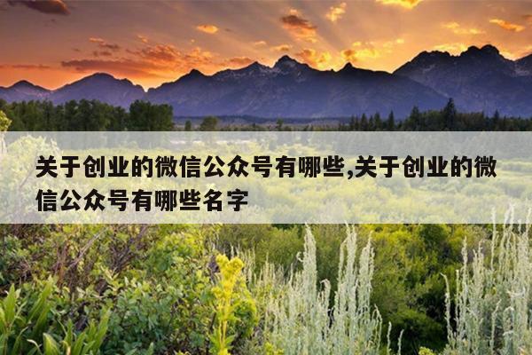 关于创业的微信公众号有哪些,关于创业的微信公众号有哪些名字