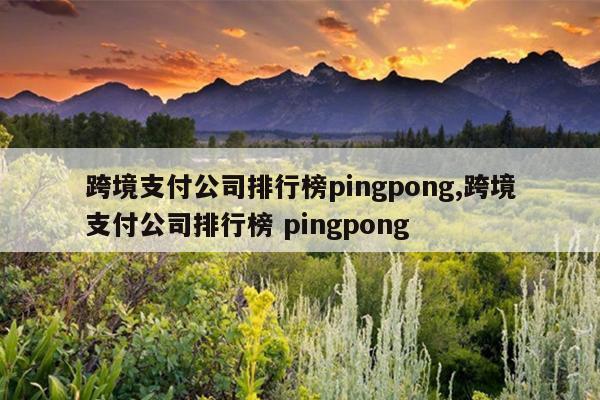 跨境支付公司排行榜pingpong,跨境支付公司排行榜 pingpong