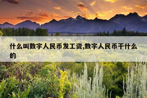 什么叫数字人民币发工资,数字人民币干什么的