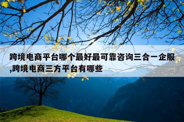 跨境电商平台哪个最好最可靠咨询三合一企服,跨境电商三方平台有哪些