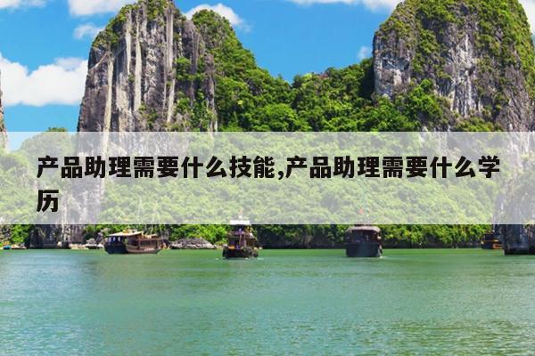 产品助理需要什么技能,产品助理需要什么学历