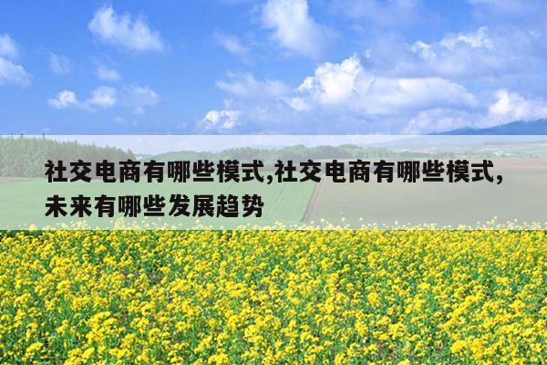 社交电商有哪些模式,社交电商有哪些模式,未来有哪些发展趋势