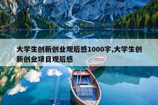 大学生创新创业观后感1000字,大学生创新创业项目观后感
