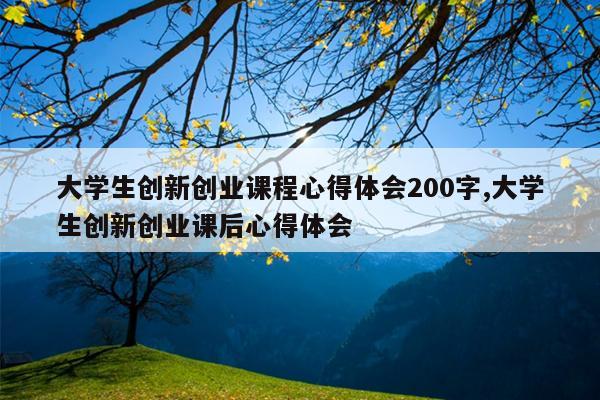 大学生创新创业课程心得体会200字,大学生创新创业课后心得体会