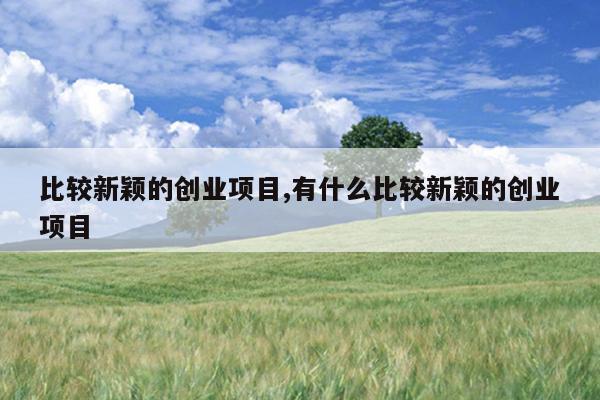 比较新颖的创业项目,有什么比较新颖的创业项目