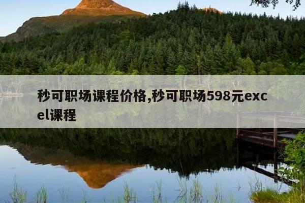 秒可职场课程价格,秒可职场598元excel课程