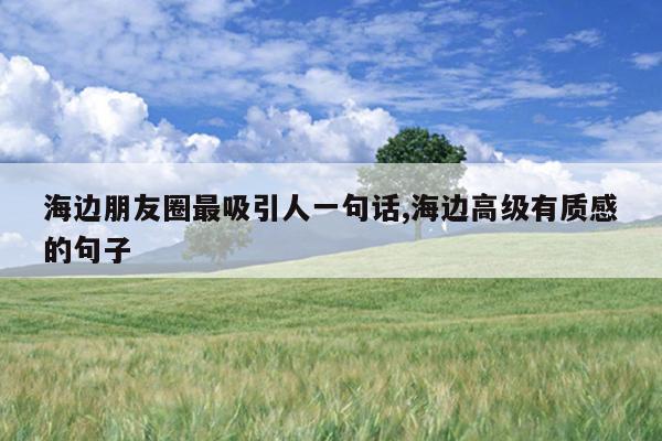 海边朋友圈最吸引人一句话,海边高级有质感的句子