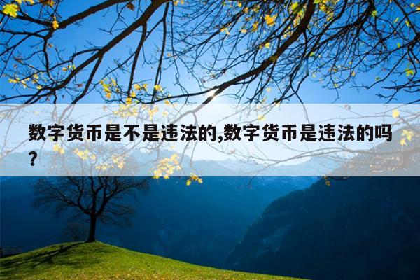 数字货币是不是违法的,数字货币是违法的吗?