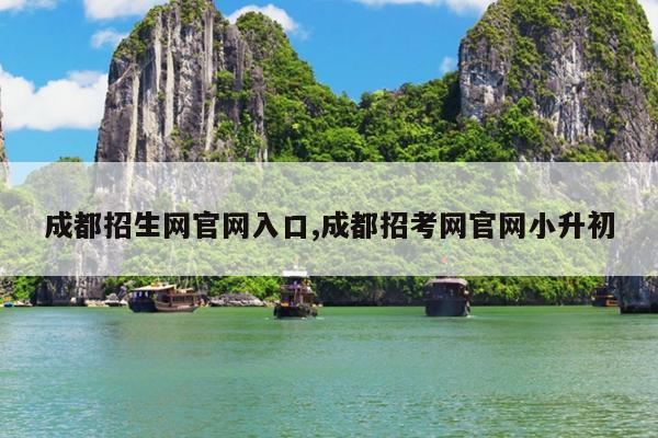 成都招生网官网入口,成都招考网官网小升初
