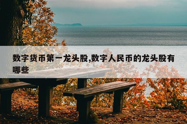 数字货币第一龙头股,数字人民币的龙头股有哪些