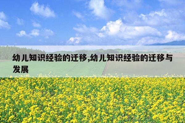 幼儿知识经验的迁移,幼儿知识经验的迁移与发展