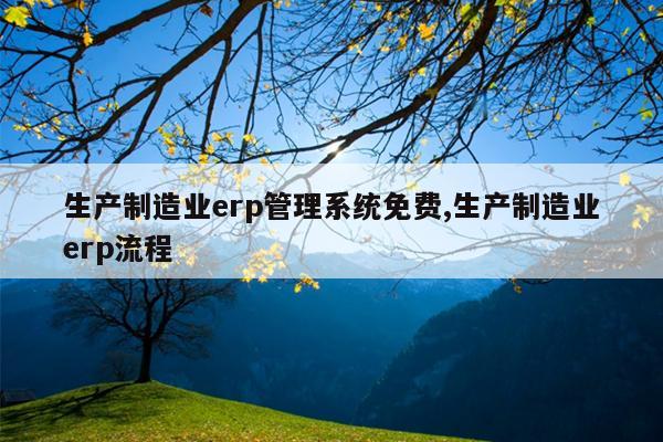 生产制造业erp管理系统免费,生产制造业erp流程