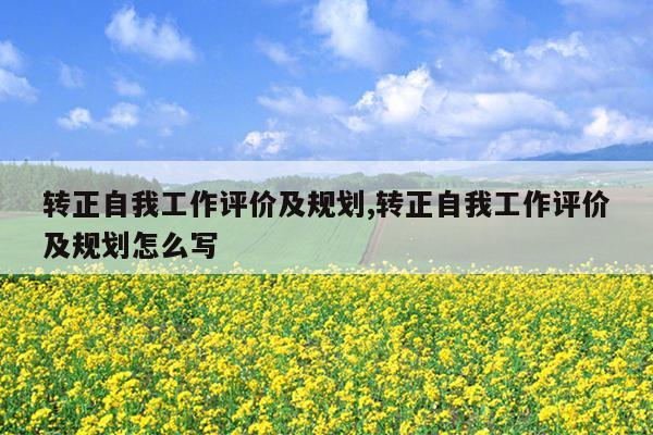 转正自我工作评价及规划,转正自我工作评价及规划怎么写