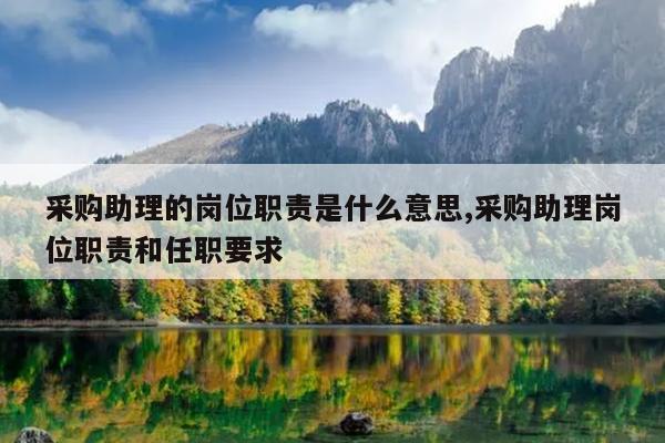 采购助理的岗位职责是什么意思,采购助理岗位职责和任职要求