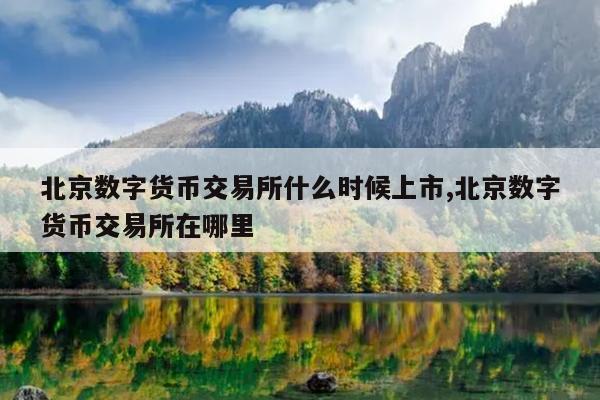 北京数字货币交易所什么时候上市,北京数字货币交易所在哪里
