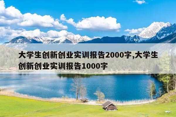 大学生创新创业实训报告2000字,大学生创新创业实训报告1000字