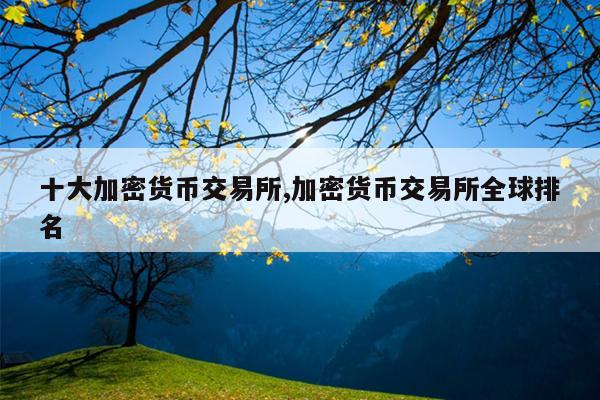 十大加密货币交易所,加密货币交易所全球排名
