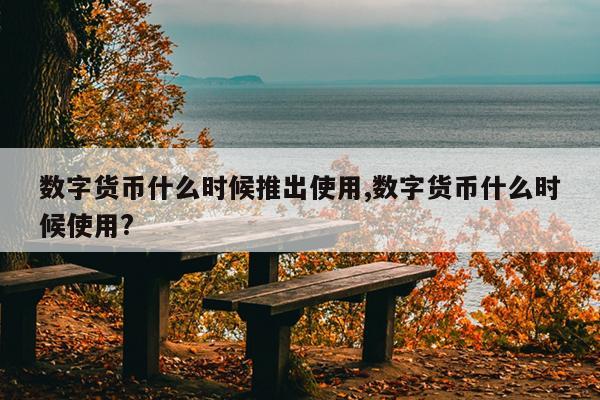 数字货币什么时候推出使用,数字货币什么时候使用?