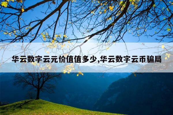 华云数字云元价值值多少,华云数字云币骗局