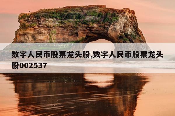 数字人民币股票龙头股,数字人民币股票龙头股002537