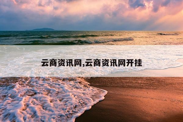 云商资讯网,云商资讯网开挂